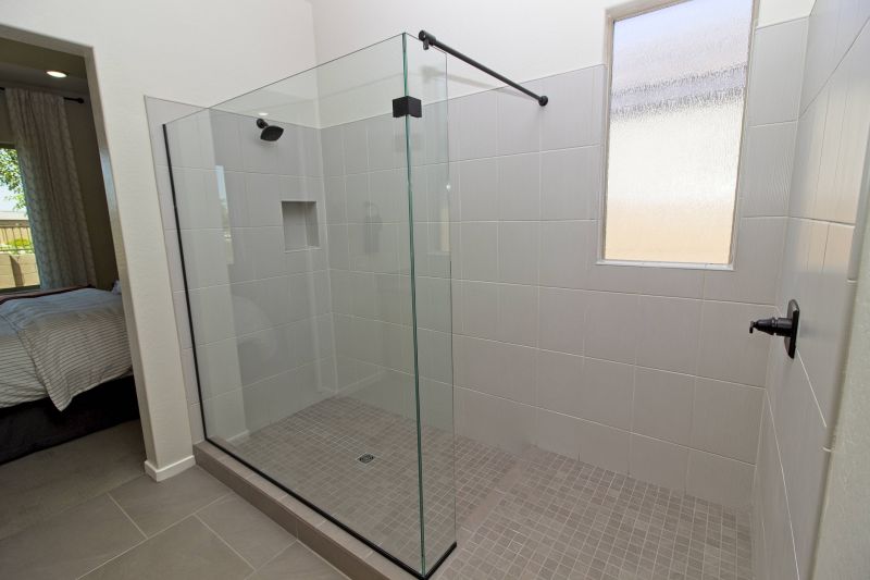 Modern Walk-in Shower with Frameless Glass